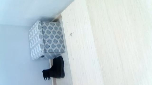 VID-20250514-WA0008.mp4