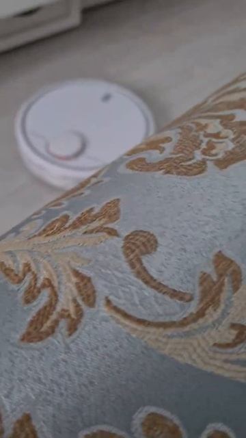 Робот пылесос против машинки