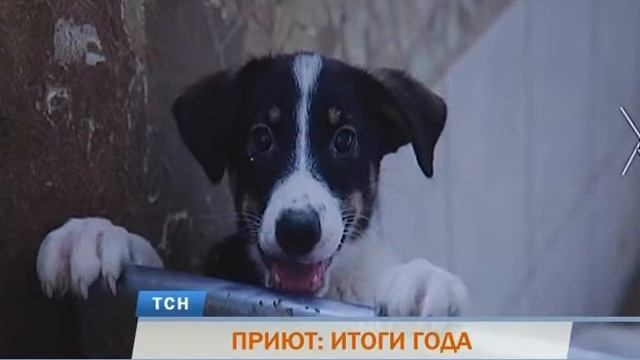 Телевизионная служба новостей 22 декабря