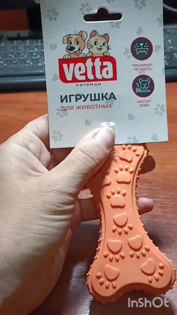 У Мони новая игрушка