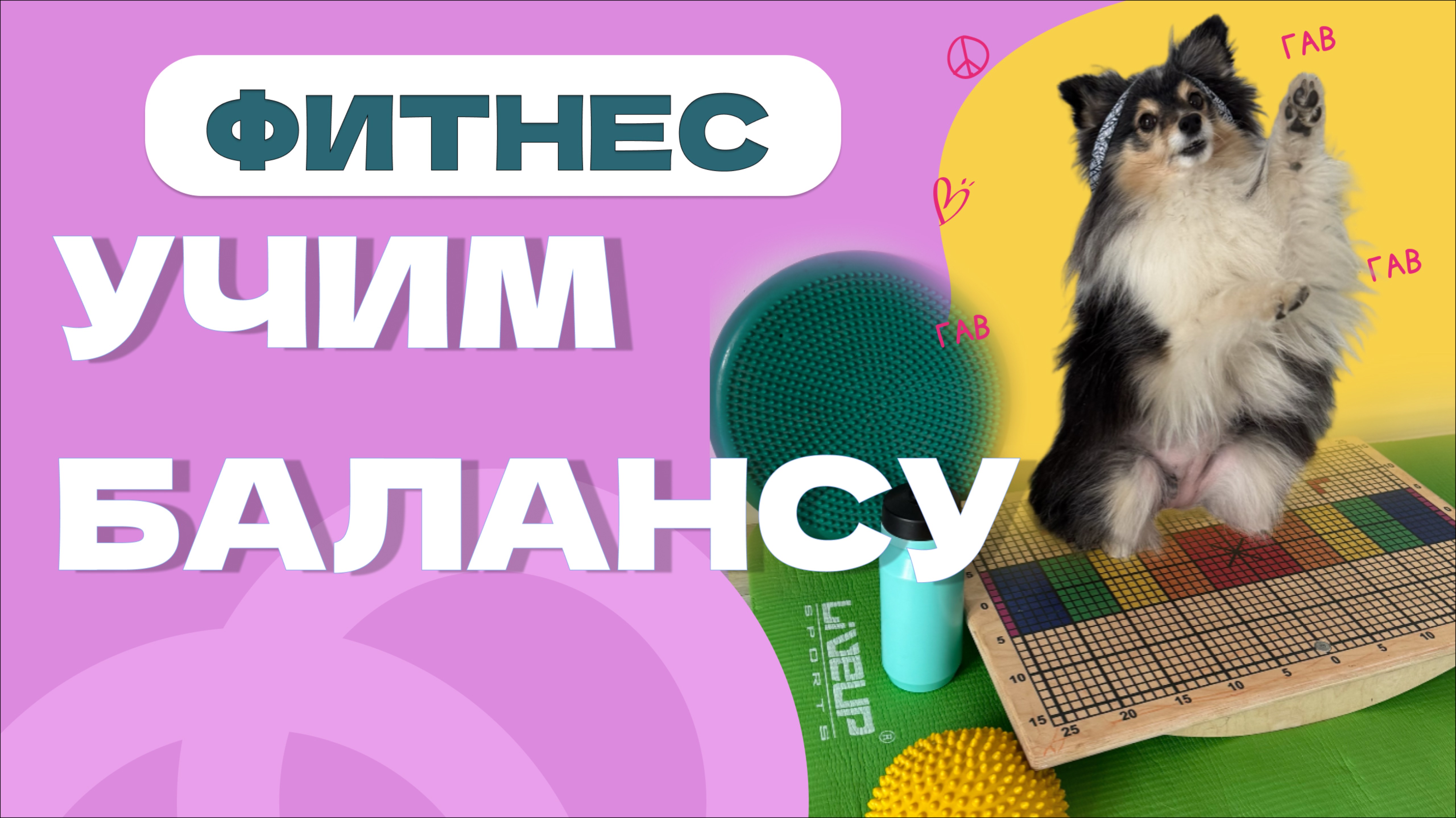 ФИТНЕС ДЛЯ СОБАК: ЗНАКОМИМ С БАЛАНСОМ