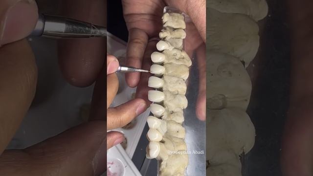 1000060562.mp4