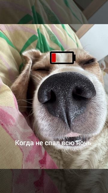 это я летом