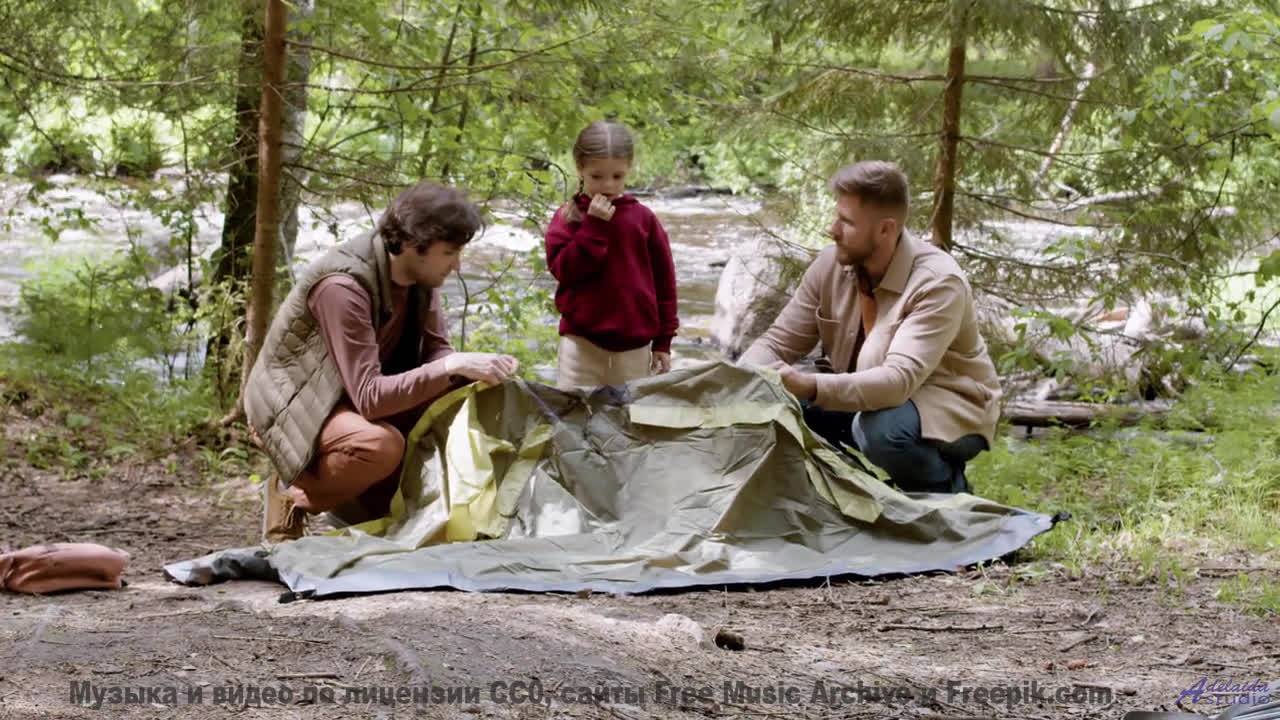 Леса превращаются в личный космос под эту мелодию - Limelight -- Podington Bear -- Haplessly Happy (
