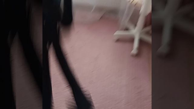 меня хочет забрать в полицию моя игрушка