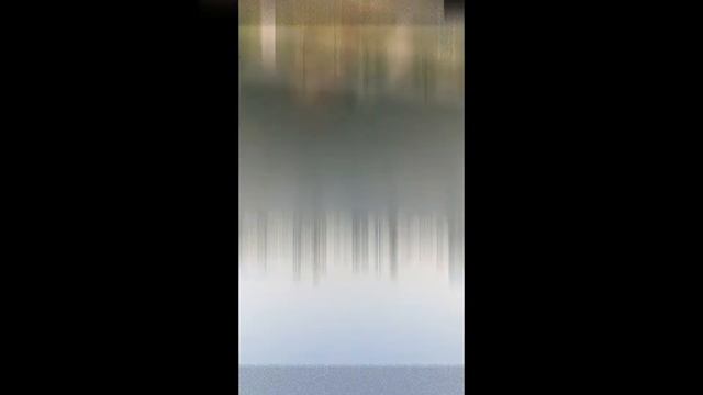 Мы
