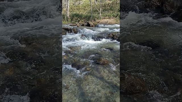 Шум воды горной реки у подножия горы Лягушки