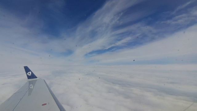 полёт к мечте в прекрасное утро🌞