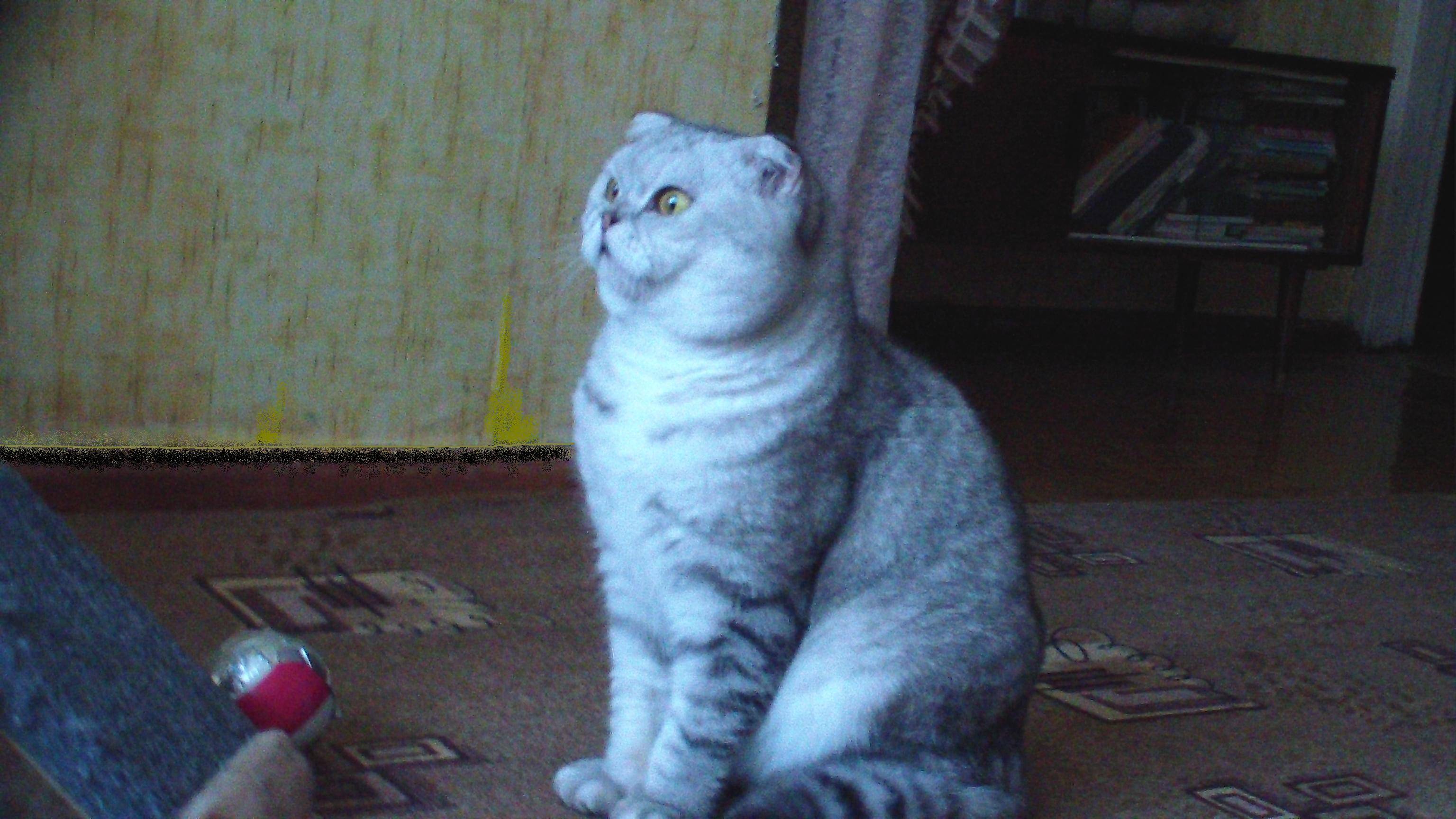 Напугался.
