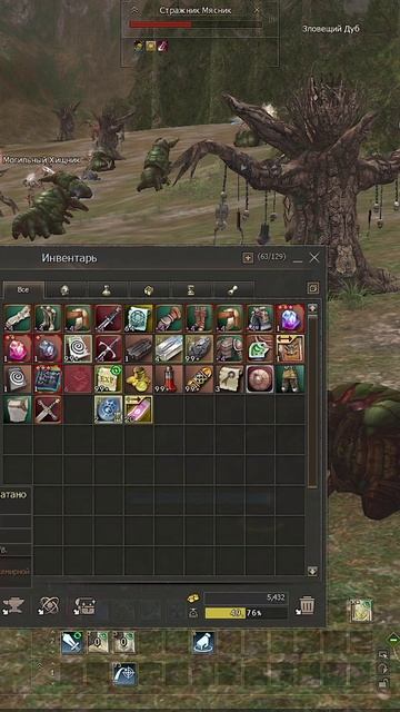 Храмовник с бюджетным донатом за 5000 рублей в Lineage 2 Essence