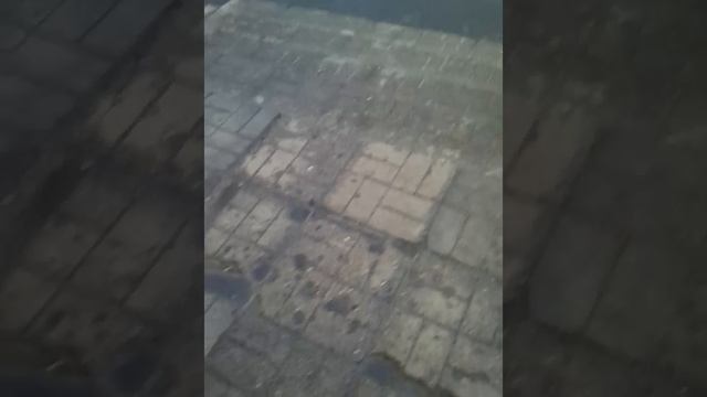 VID_20250513_192903.mp4