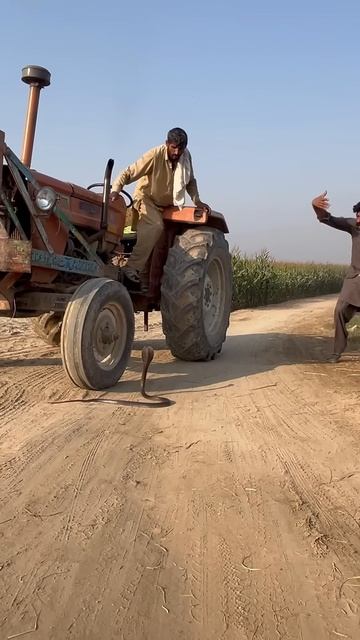 Kisan Naag dekh kar tractor se neeche utar aye