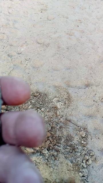 Интересная находка.Современная пряжка.