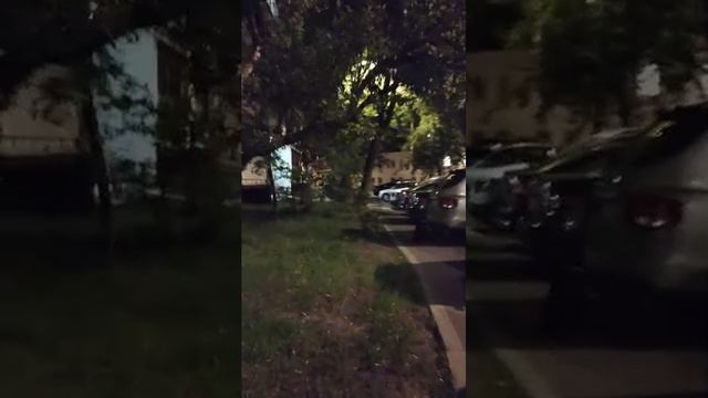 Мы идём гулять с собакой! | 15-май-2025, 3