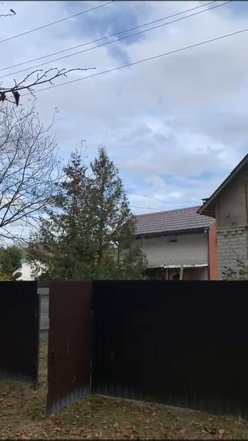 Видео 1