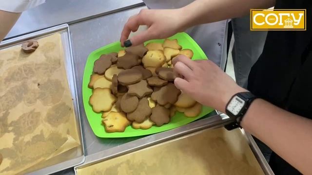 На факультете химии биологии и биотехнологий ко Дням науки всегда начинают готовится заранее