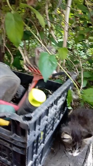 VID_20250515_002149