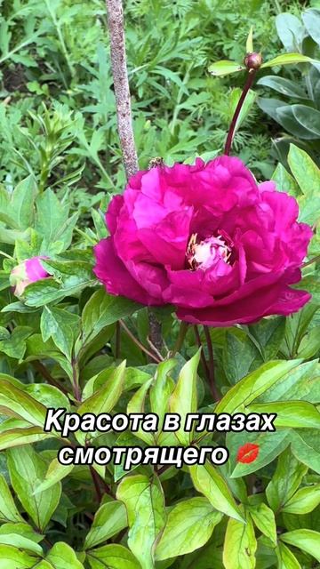 жизнь в деталях #жиза #влог #повседневнаяжизнь #личность #обновления