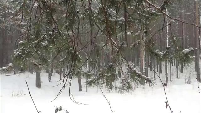 ПОСЛЕДНИЕ ШАГИ