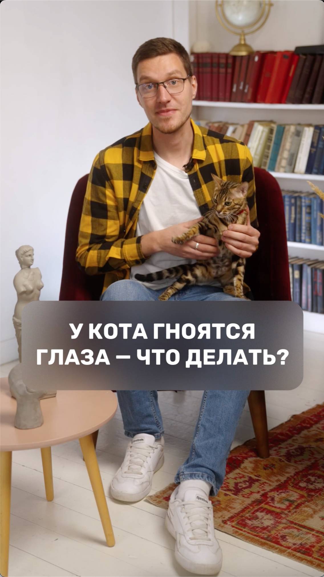У кота гноятся глаза – что делать?