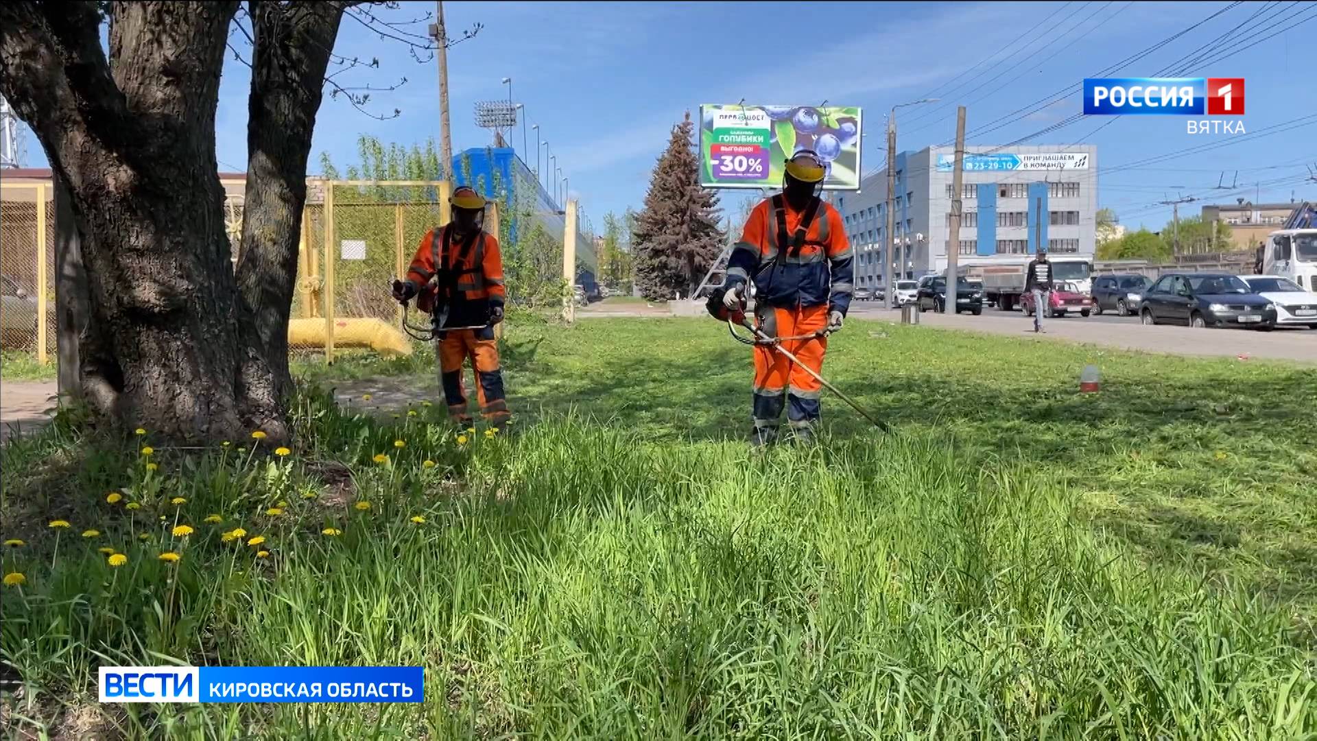 В Кирове начали приводить в порядок газоны