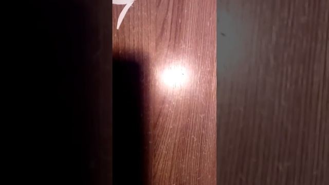 Как сделать сквиши своими руками из бумаги /Настя cat