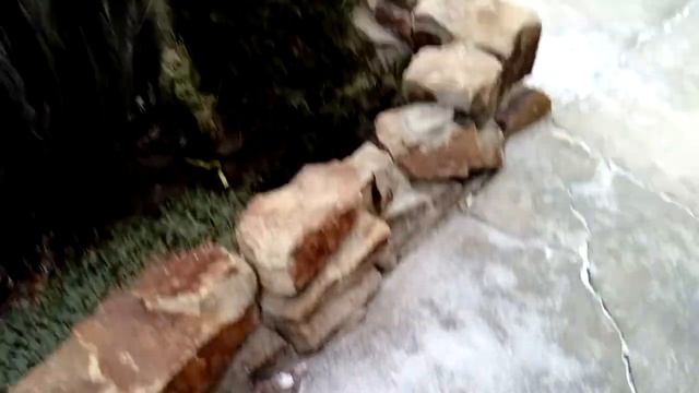 СНЕГ ВЫПАЛ