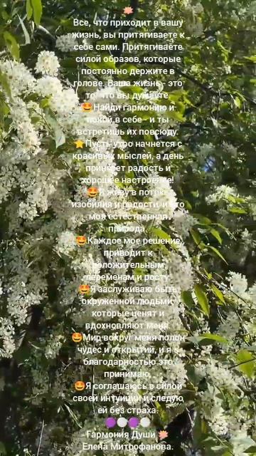 Гармония прежде всего.
Внутреннее состояние важно.
Елена Митрофанова 🌹💗❤️