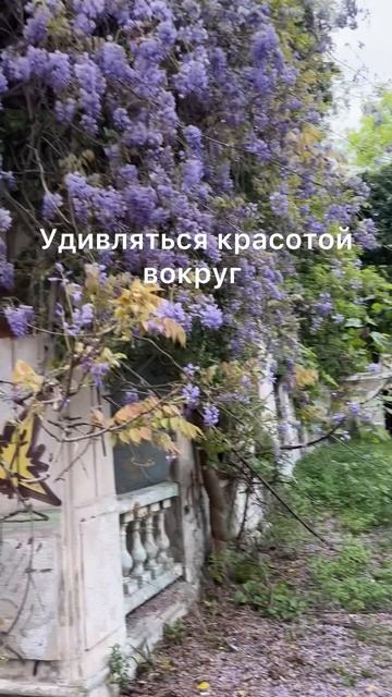 🇫🇷?или🇮🇹?