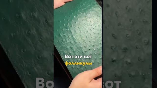Популярна ли страусиная кожа ? 

#онотогостоит #ателье #кожевенноедело