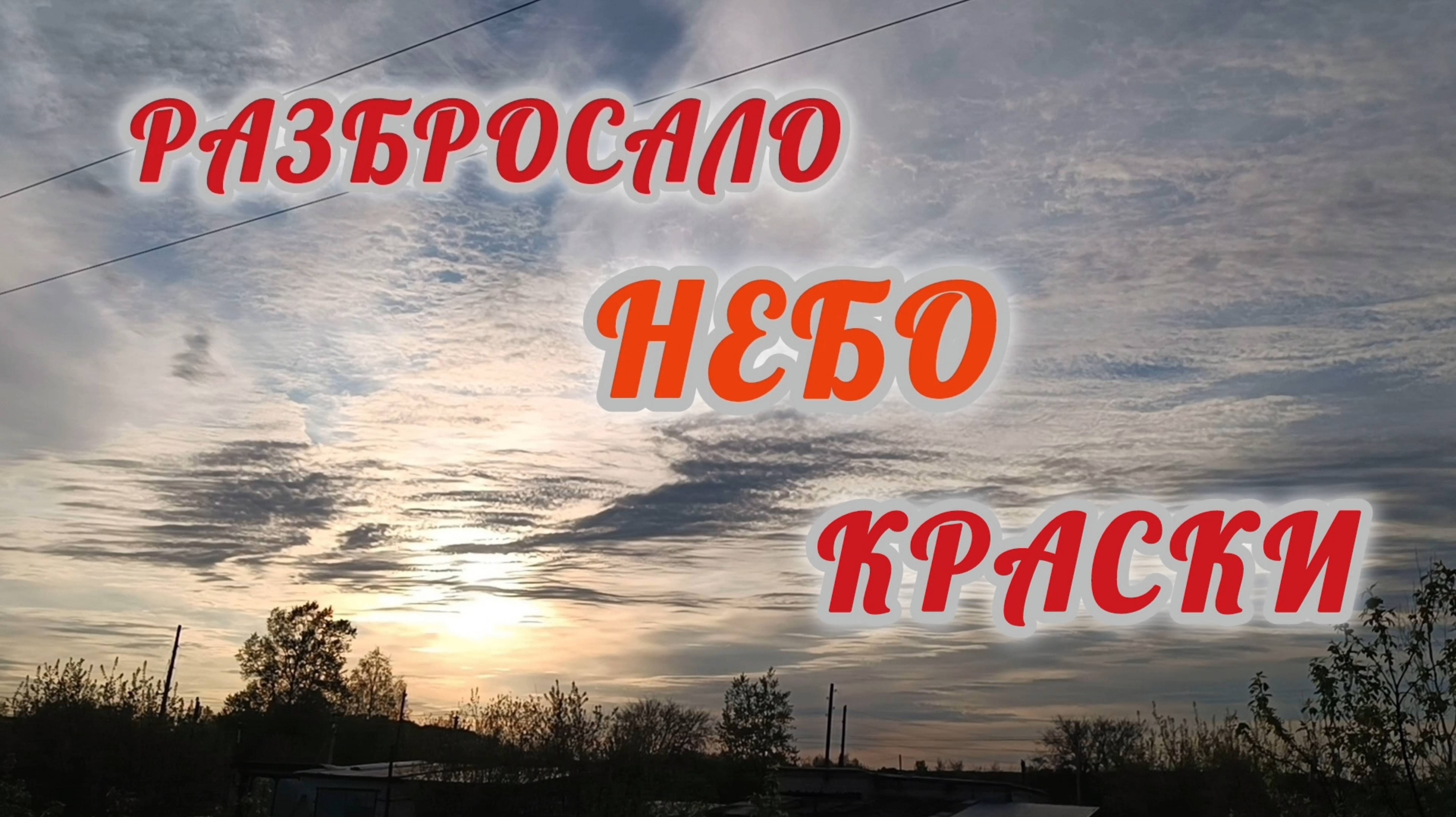 РАЗБРОСАЛО НЕБО КРАСКИ.