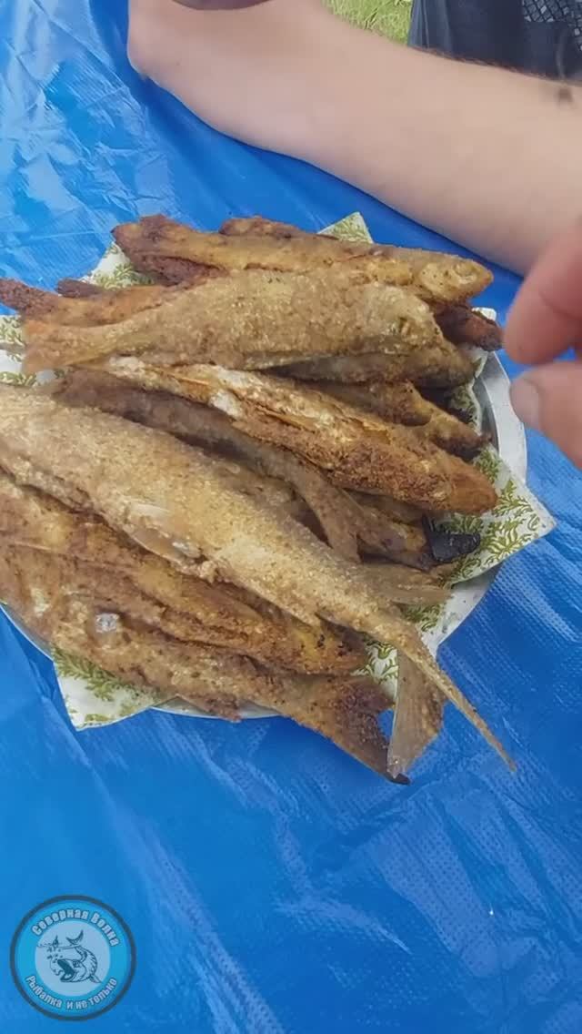 ЭТА РЫБКА ПРОСТО ОГОНЬ