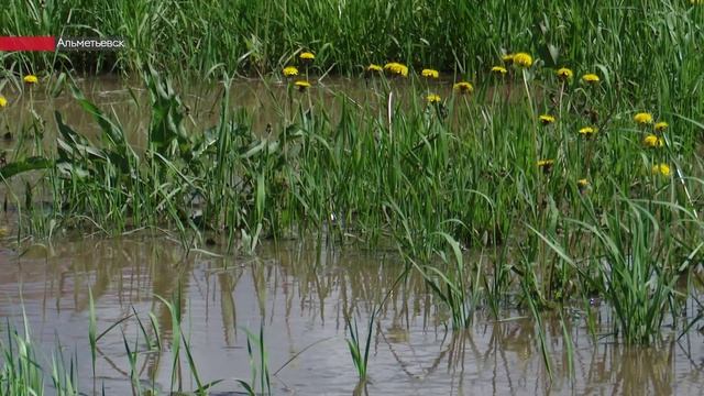 Альметьевские дороги затопило после дождя