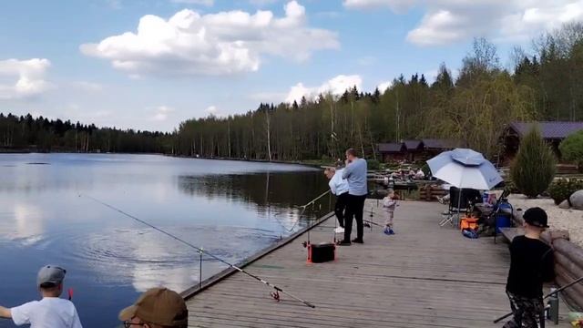 Поимка осетра