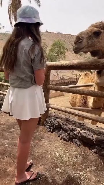 TikTok Girls#1222 #tiktok #shorts