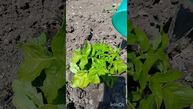1000002269.mp4