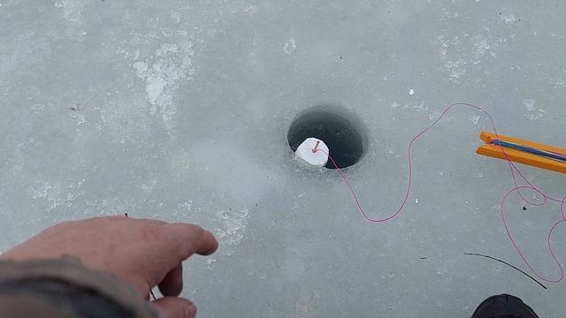 Испыиание новой снасти на подледной рыбалке