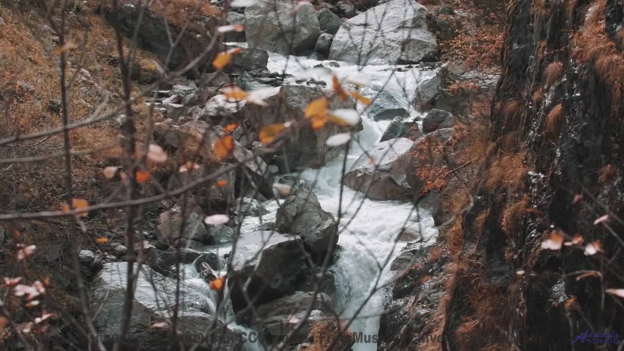 Вы не слышали море таким, пока не включили этот трек! - goonlyfe -- Vincent Augustus -- goonlyfe
