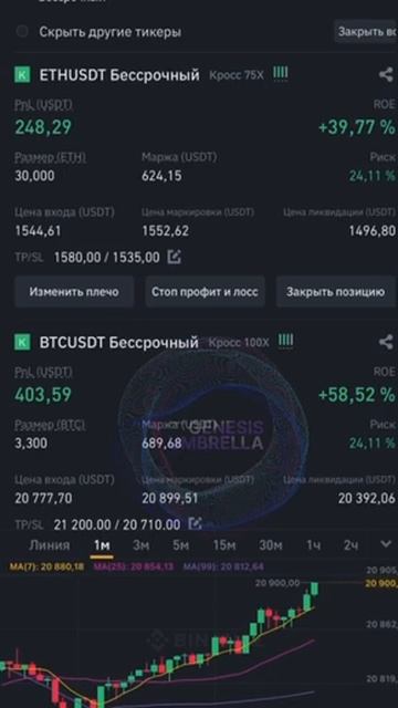 Прозрачная торговля инвестиционного фонда GenesisUmbrella