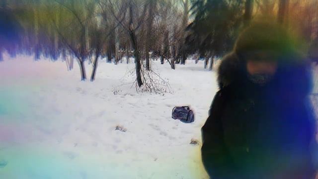 Прогулка в ПАРКЕ, КОТ СНЕЖОК. ЗИМА.