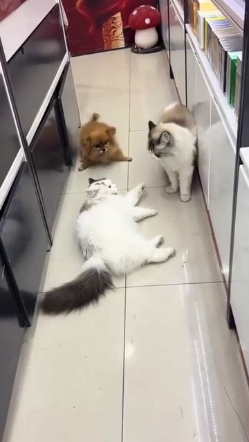 Когда хотел по-хорошему, а получилось как всегда...