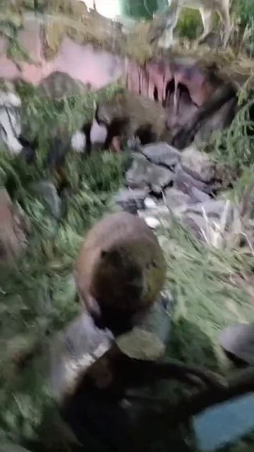 Бобрик