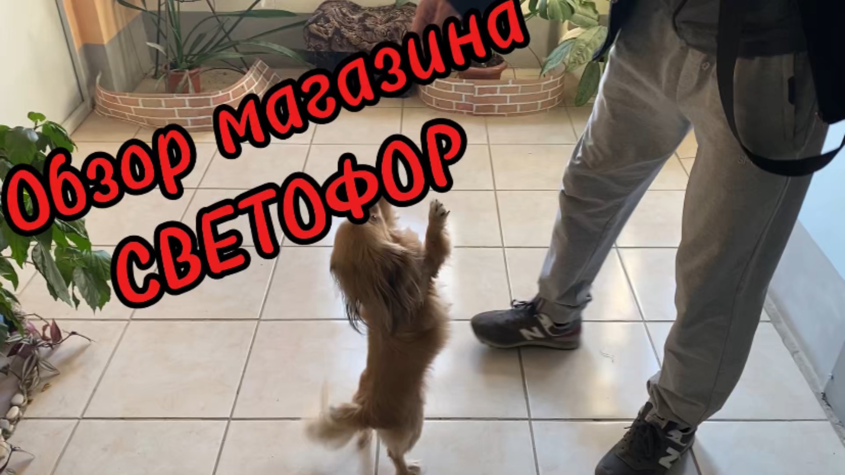 Обзор магазина СВЕТОФОР 🚦