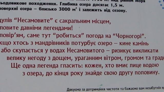 Несамовите 2008