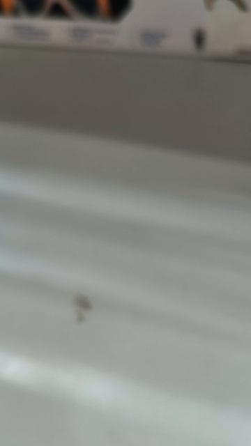 1000011437.mp4