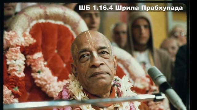 ШБ 1.16.4 Шрила Прабхупада