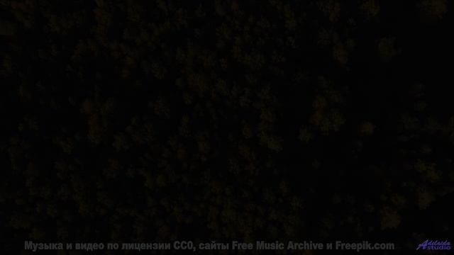 Леса вибрируют вместе с этим невероятным ритмом - Two ducks on a tree -- Cartouch -- Cartouch