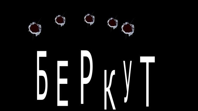 Заставкаа БЕРКУТ