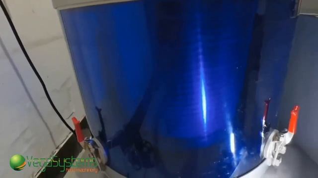 Центрифуга для зелени овощей Vega DM H800