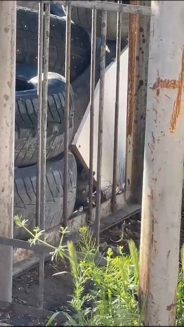 ТОКСИЧНАЯ СВАЛКА: на Речной, 110 образовалась свалка покрышек рядом с футбольным полем.